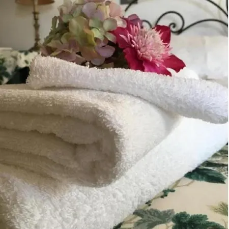 Bed & Breakfast Il Casaletto Osimo