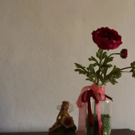 Bed & Breakfast Il Casaletto